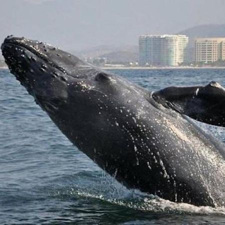 Lovely 3 Bedroom Condo With Pool Ixtapa  Buitenkant foto